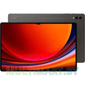 Планшет Samsung Galaxy Tab S9 Ultra Wi-Fi SM-X910 12GB/256GB (серый)